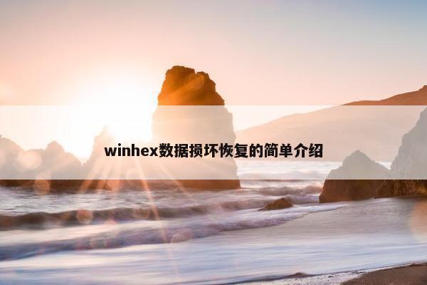 winhex数据损坏恢复的简单介绍