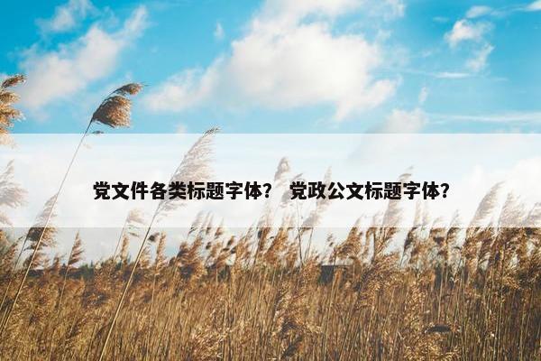 党文件各类标题字体？ 党政公文标题字体？