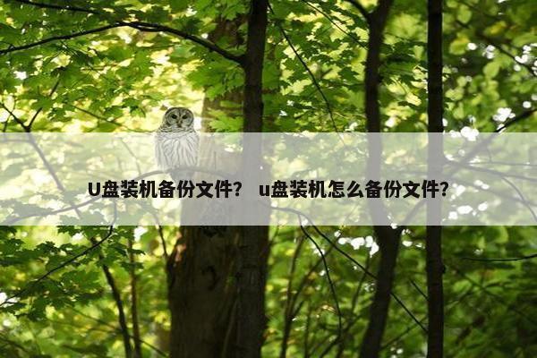 U盘装机备份文件？ u盘装机怎么备份文件？