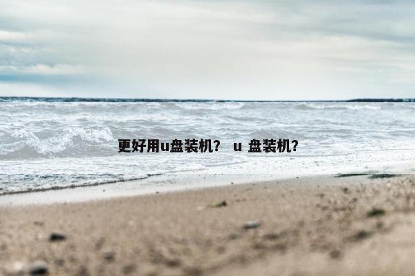 更好用u盘装机？ u 盘装机？
