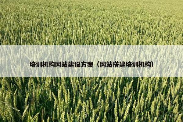 培训机构网站建设方案（网站搭建培训机构）