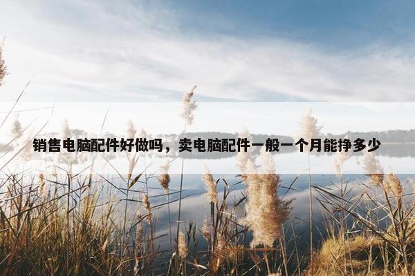 销售电脑配件好做吗，卖电脑配件一般一个月能挣多少