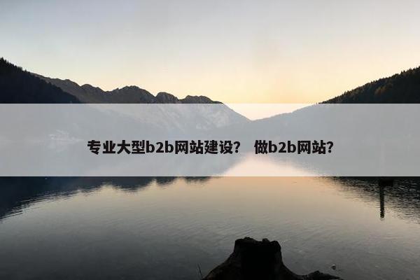 专业大型b2b网站建设？ 做b2b网站？