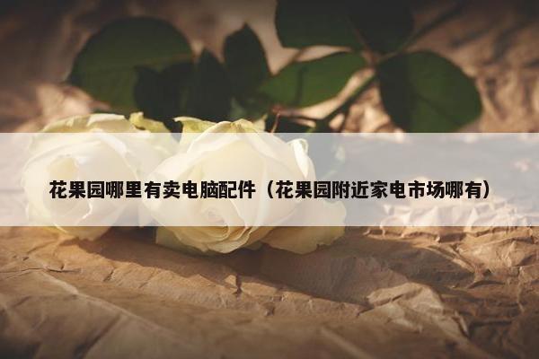 花果园哪里有卖电脑配件（花果园附近家电市场哪有）