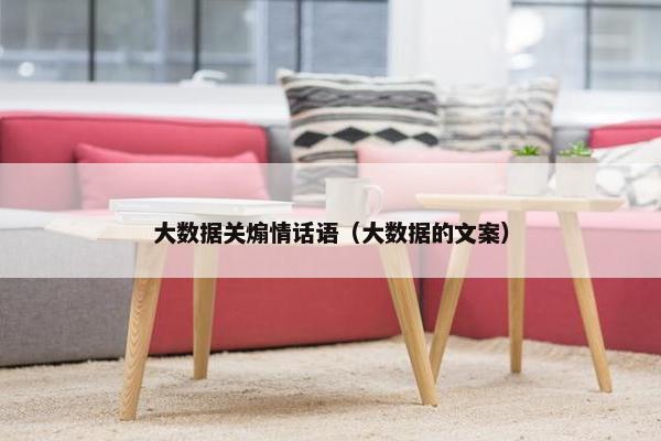 大数据关煽情话语（大数据的文案）