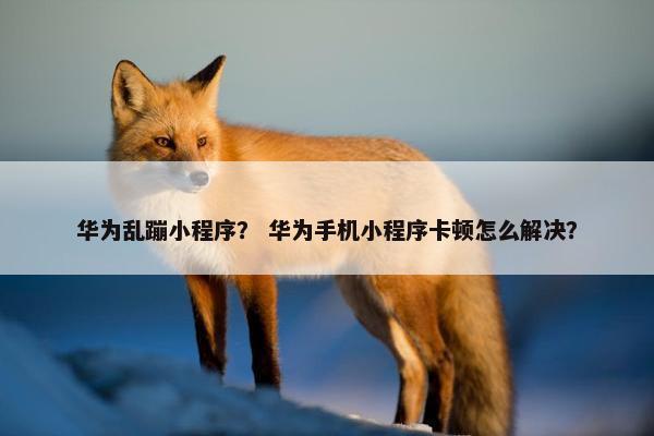 华为乱蹦小程序？ 华为手机小程序卡顿怎么解决？
