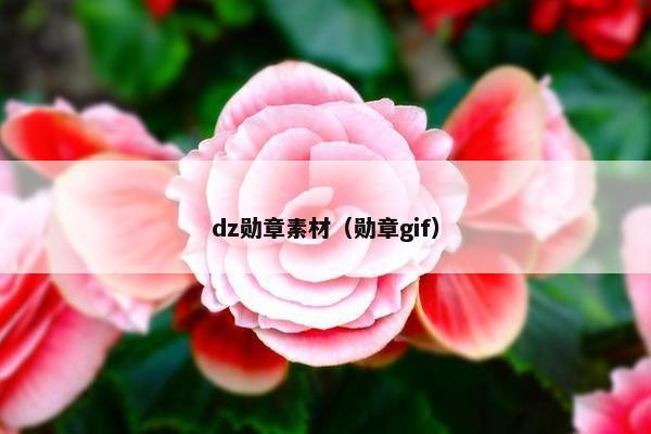 dz勋章素材（勋章gif）