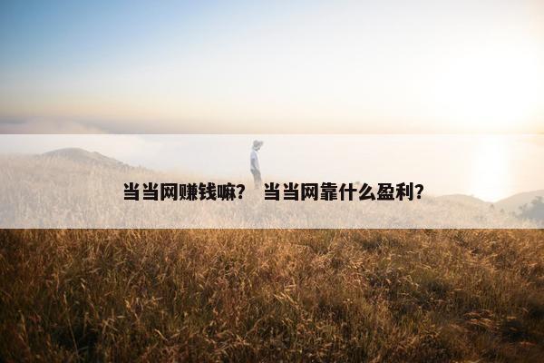 当当网赚钱嘛？ 当当网靠什么盈利？