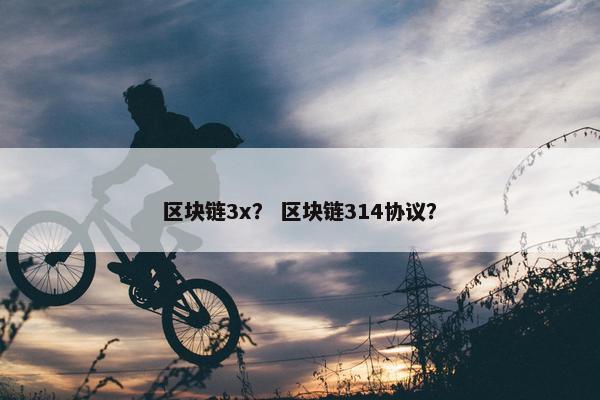 区块链3x？ 区块链314协议？