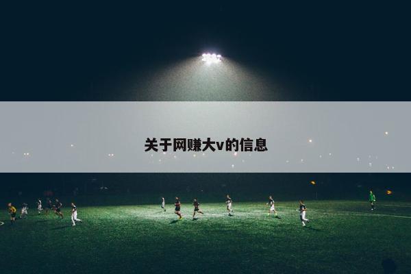 关于网赚大v的信息