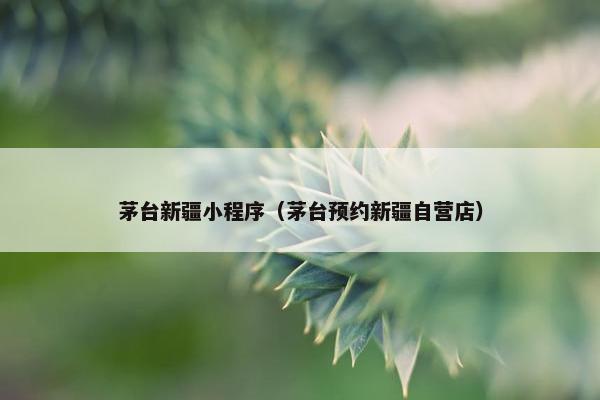 茅台新疆小程序（茅台预约新疆自营店）
