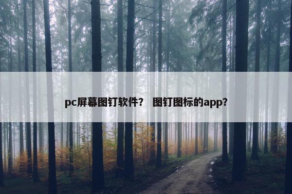pc屏幕图钉软件？ 图钉图标的app？