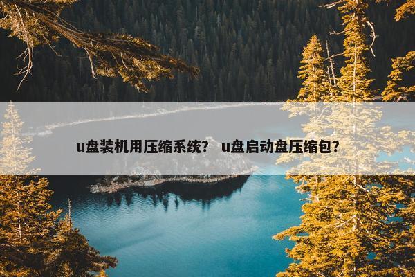 u盘装机用压缩系统？ u盘启动盘压缩包？