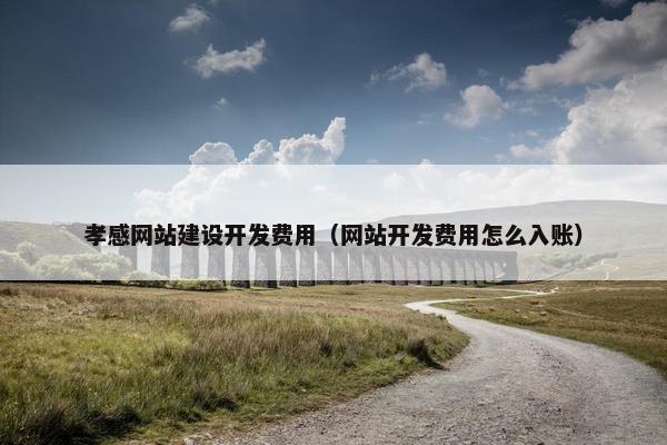 孝感网站建设开发费用（网站开发费用怎么入账）