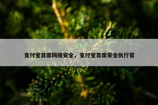 支付宝首席网络安全，支付宝首席安全执行官