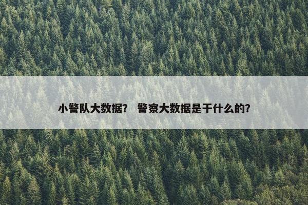 小警队大数据？ 警察大数据是干什么的？