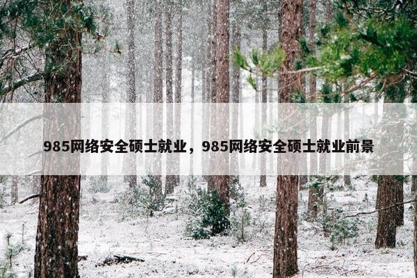 985网络安全硕士就业，985网络安全硕士就业前景