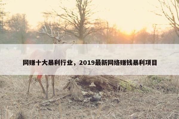 网赚十大暴利行业，2019最新网络赚钱暴利项目