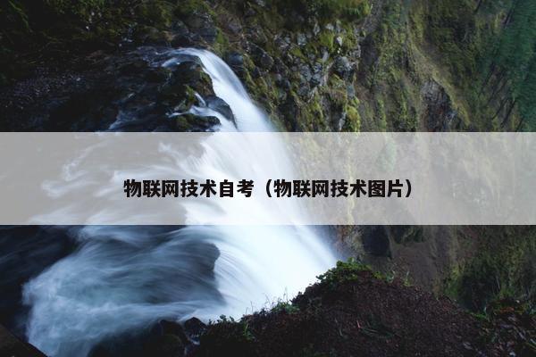 物联网技术自考（物联网技术图片）