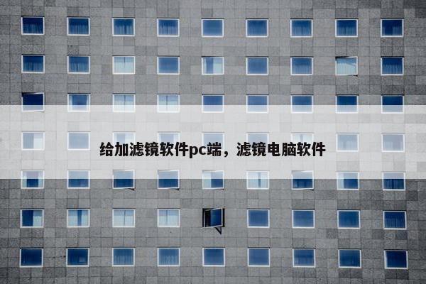 给加滤镜软件pc端，滤镜电脑软件