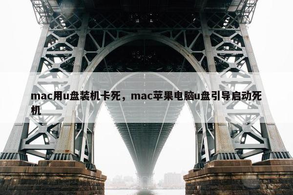 mac用u盘装机卡死，mac苹果电脑u盘引导启动死机