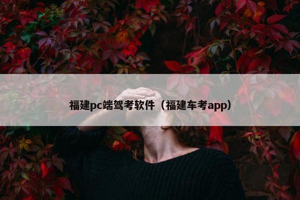 福建pc端驾考软件（福建车考app）