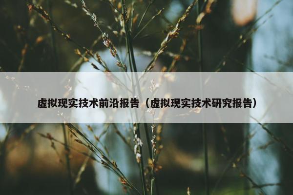 虚拟现实技术前沿报告（虚拟现实技术研究报告）