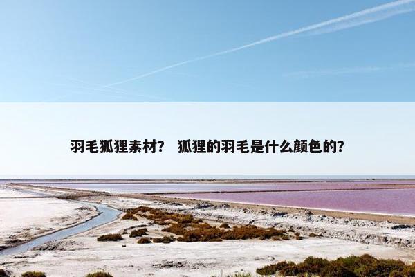 羽毛狐狸素材？ 狐狸的羽毛是什么颜色的？