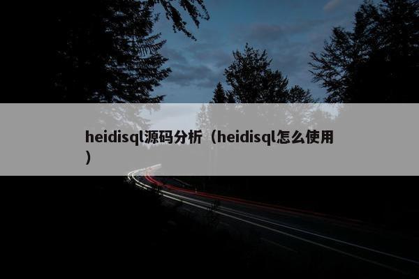 heidisql源码分析（heidisql怎么使用）
