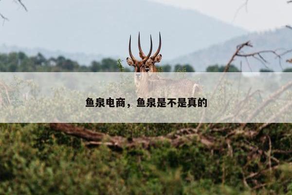 鱼泉电商，鱼泉是不是真的