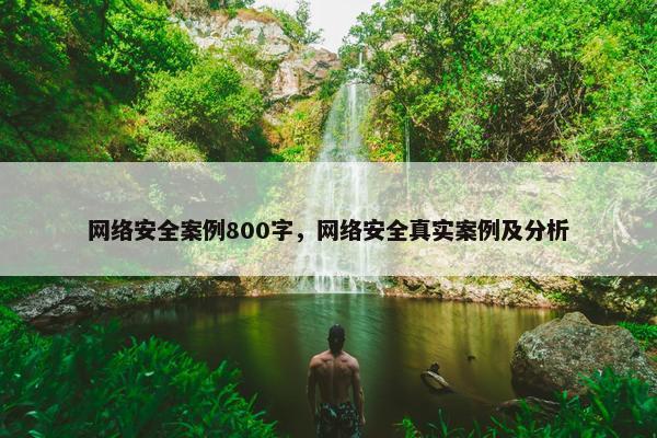 网络安全案例800字，网络安全真实案例及分析