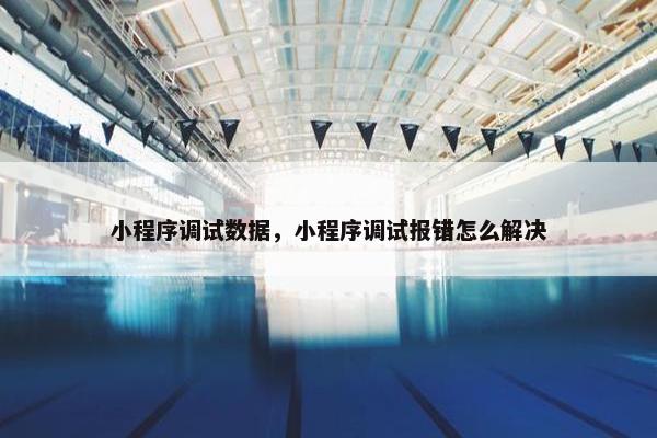 小程序调试数据，小程序调试报错怎么解决
