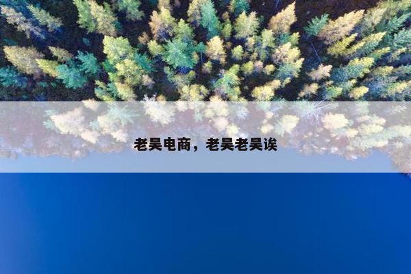 老吴电商，老吴老吴诶