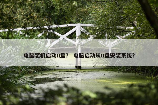 电脑装机启动u盘？ 电脑启动从u盘安装系统？