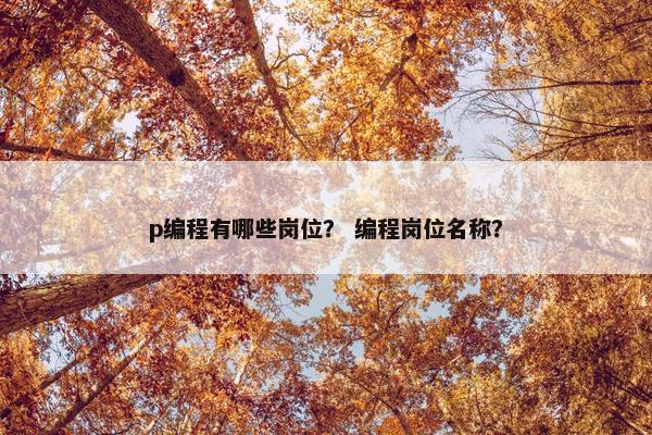 p编程有哪些岗位？ 编程岗位名称？