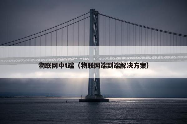 物联网中t端（物联网端到端解决方案）