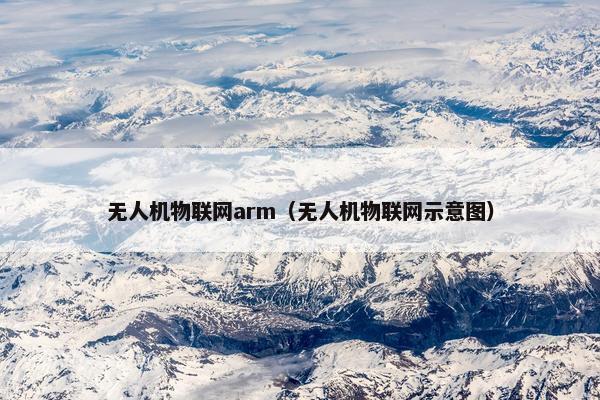 无人机物联网arm（无人机物联网示意图）