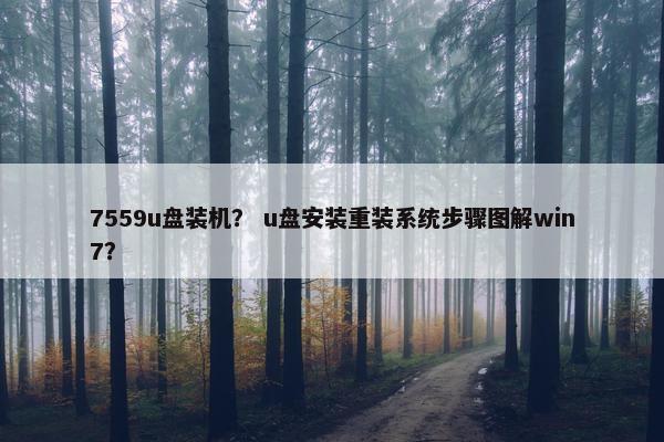 7559u盘装机？ u盘安装重装系统步骤图解win7？