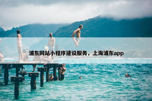浦东网站小程序建设服务，上海浦东app