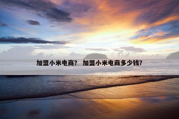 加盟小米电商？ 加盟小米电商多少钱？