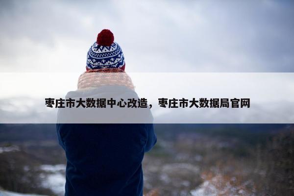 枣庄市大数据中心改造，枣庄市大数据局官网