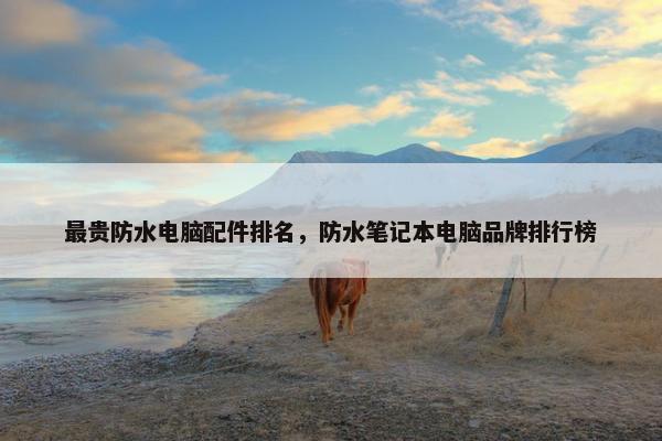 最贵防水电脑配件排名，防水笔记本电脑品牌排行榜