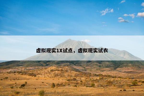 虚拟现实1X试点，虚拟现实试衣