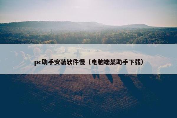 pc助手安装软件慢（电脑端某助手下载）