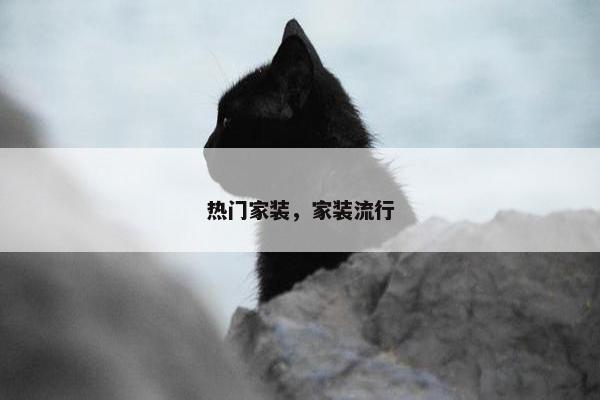 热门家装，家装流行