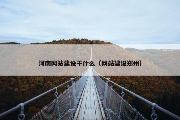 河南网站建设干什么（网站建设郑州）