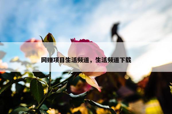 网赚项目生活频道，生活频道下载