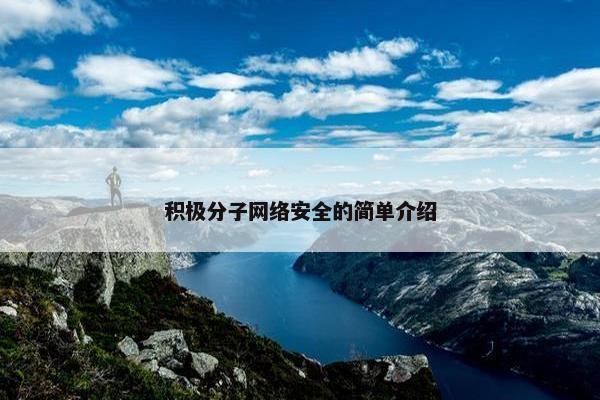 积极分子网络安全的简单介绍