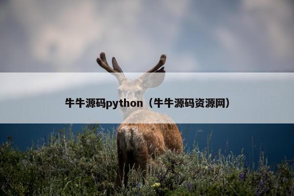 牛牛源码python（牛牛源码资源网）