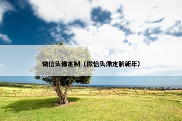 微信头像定制（微信头像定制新年）